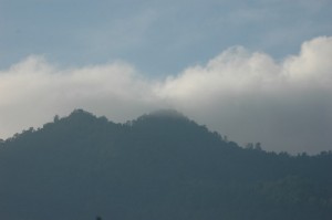 The Hill Kareumbi in the mist