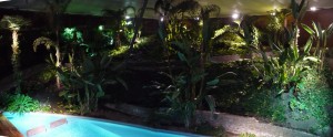 The tropical forest in the residencia.