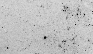 The optical transient in NGC300 (try to find it yourself). The image was taken with VLT-FORS1 as part of our observations.