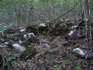 Relics of stone walls on mt. Faet (about 580m a.s.l.).