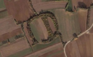The castelliere of Savalons (GoogleEarth).
